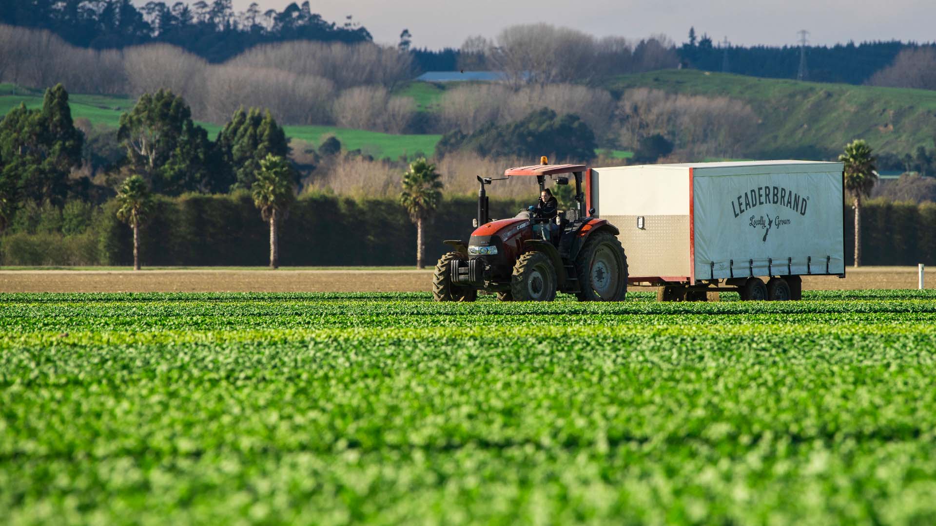 LeaderBrand tractor and trailer in field