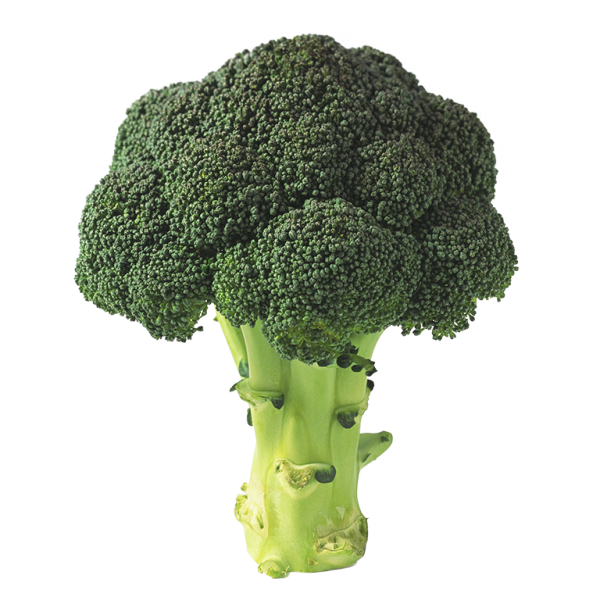 BROCCOLI LeaderBrand