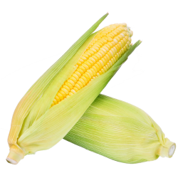 LEADERBRAND Sweetcorn