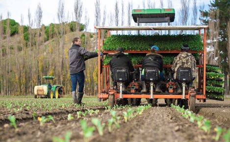 LEADERBRAND PLANTING GISBORNE