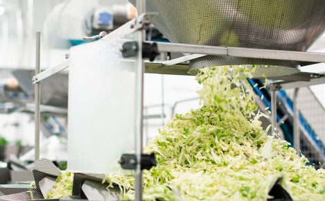 LEADERBRAND GISBORNE SALAD FACTORY - Cut Salads