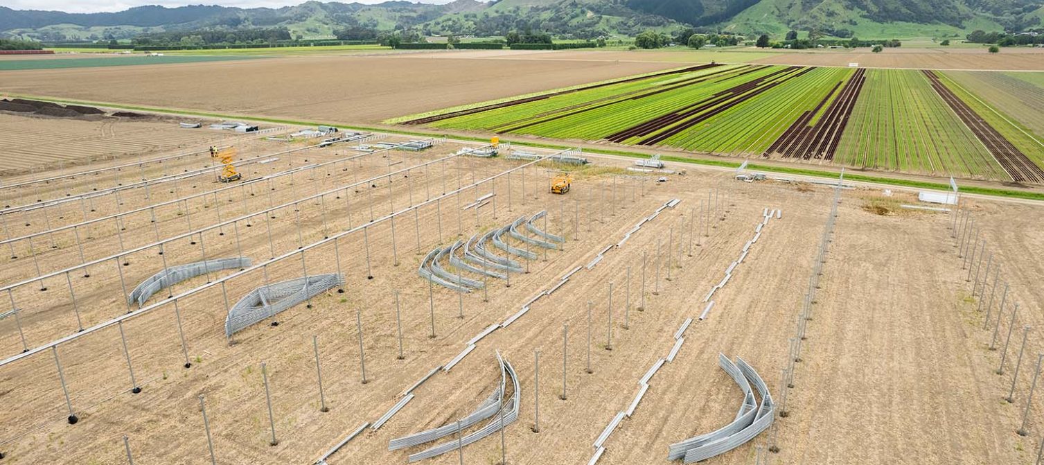 Gisborne Covered Production