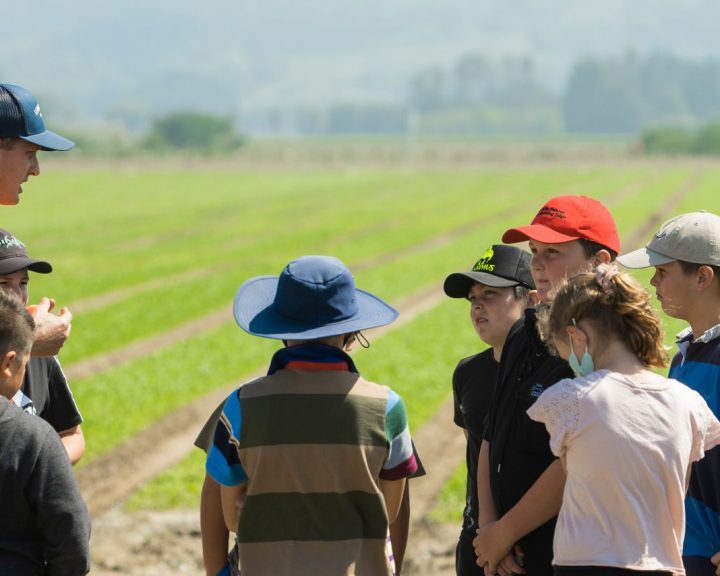 LEADERBRAND School Kids Farm Visit GISBORNE