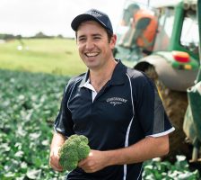 LEADERBRAND Broccoli - Taylor PUKEKOHE FARM