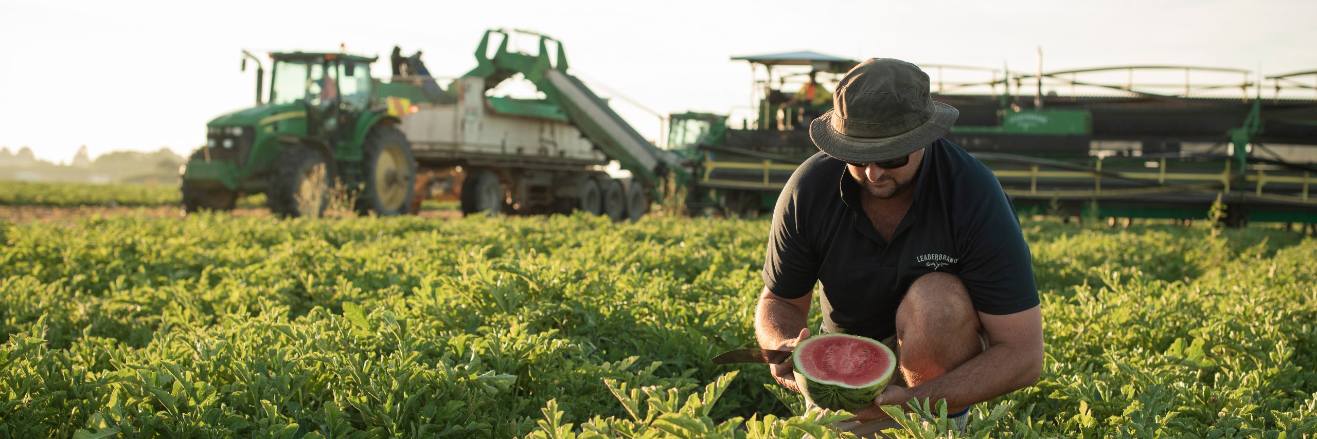 WATERMELON SEASON IS HERE! LeaderBrand