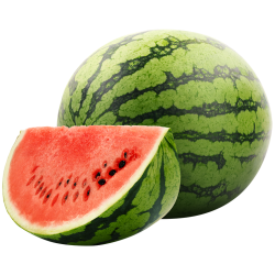 LEADERBRAND WATERMELON