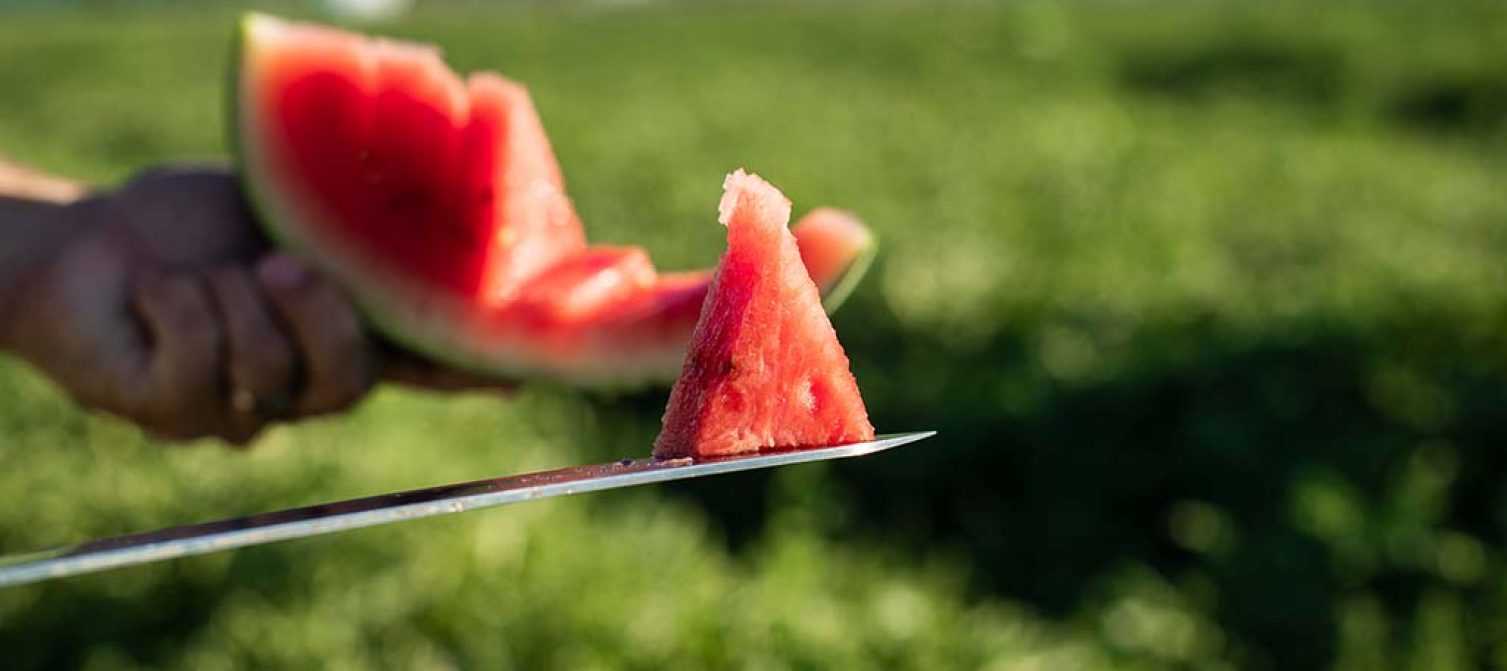 LEADERBRAND WATERMELON GISBORNE